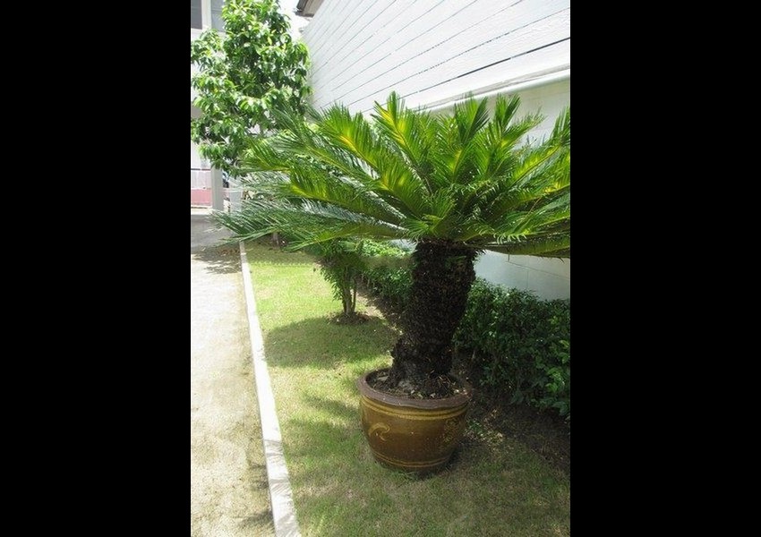 7755-Image-03